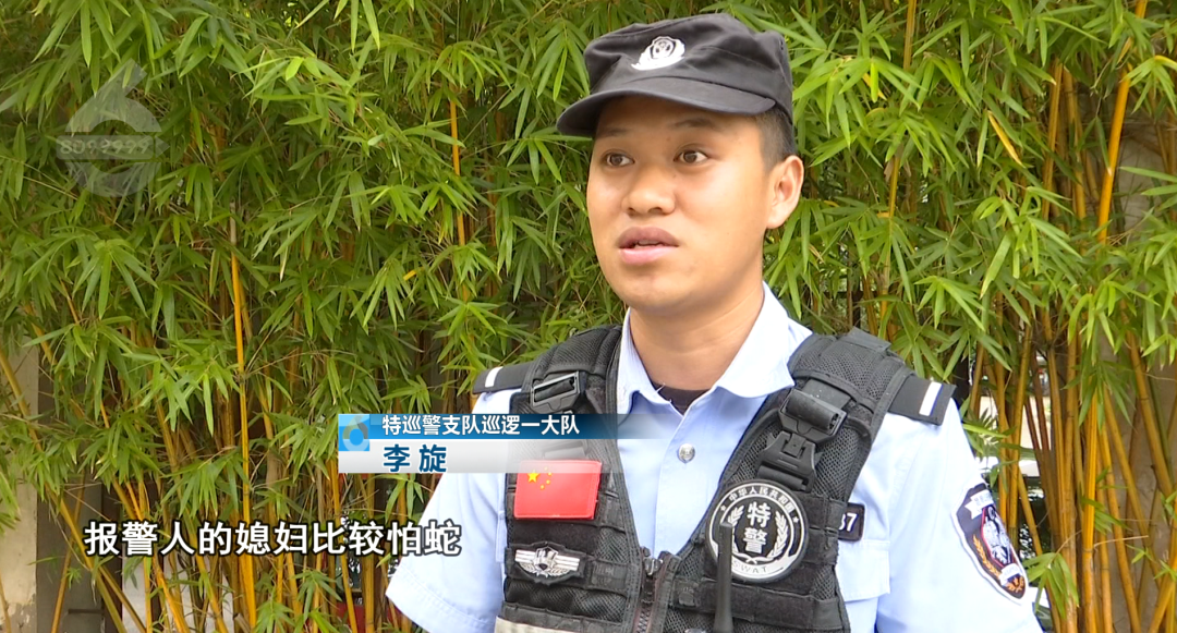 8099999街头巷尾微信