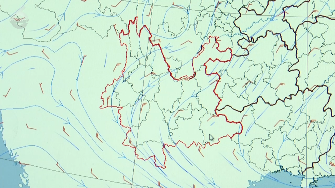 8099999街头巷尾微信