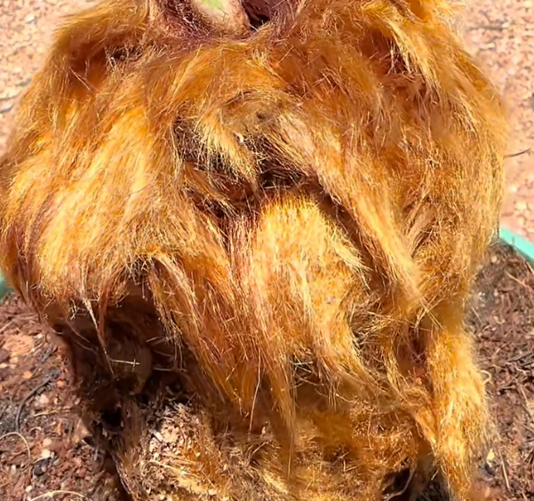 昆明广播电视台经济生活频道