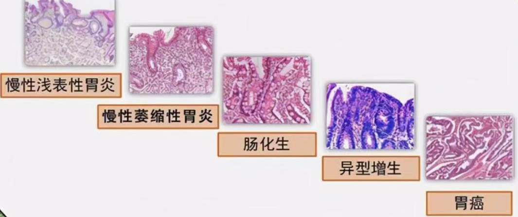 昆明市中医医院