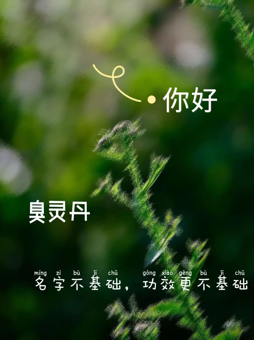 昆明市中医医院