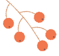 云南省中医医院