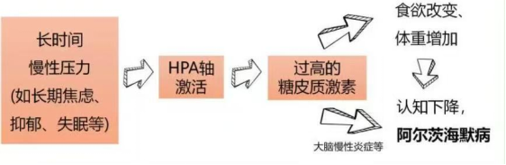 昆明市儿童医院