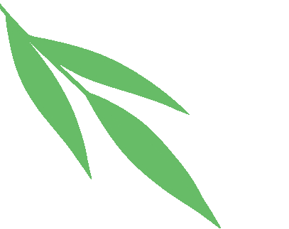 云南省中医医院