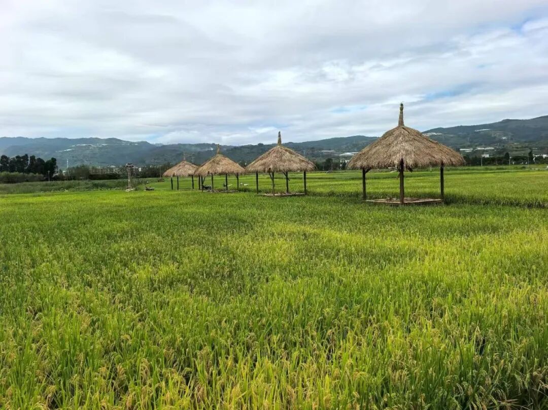 昆明阳宗海风景名胜区