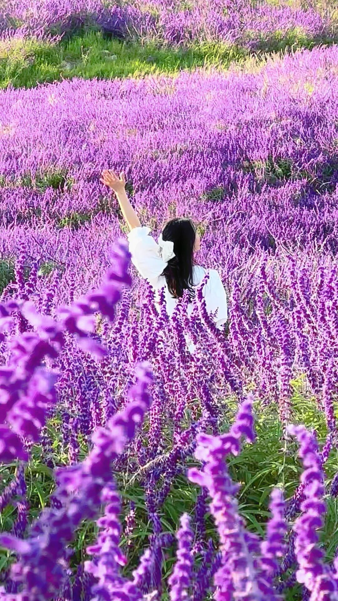 昆明阳宗海风景名胜区