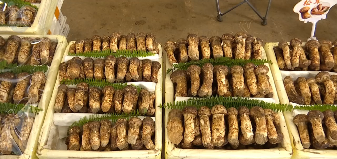 8099999街头巷尾微信