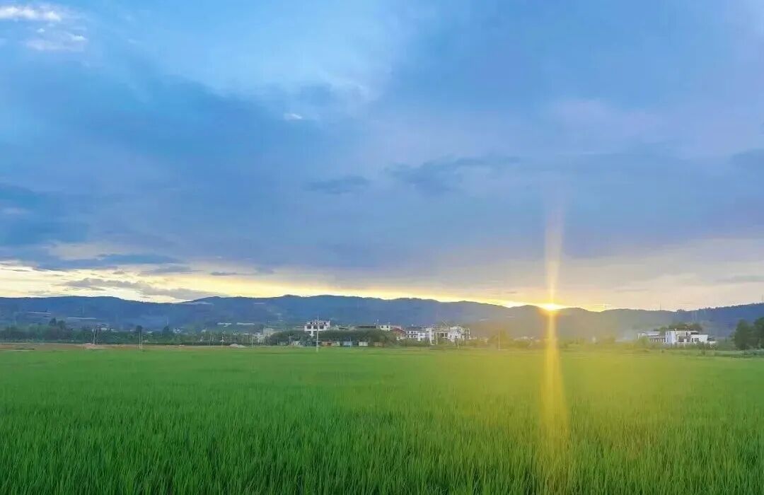 昆明阳宗海风景名胜区