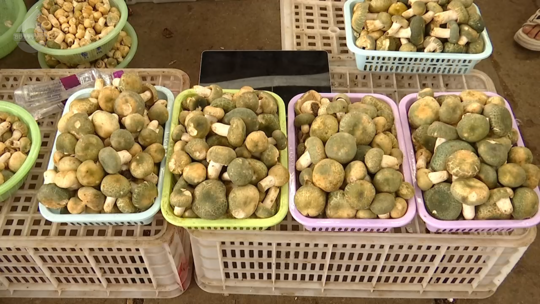 8099999街头巷尾微信