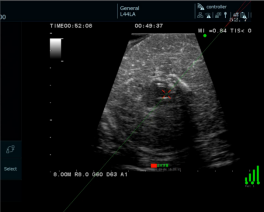 云南省第一人民医院