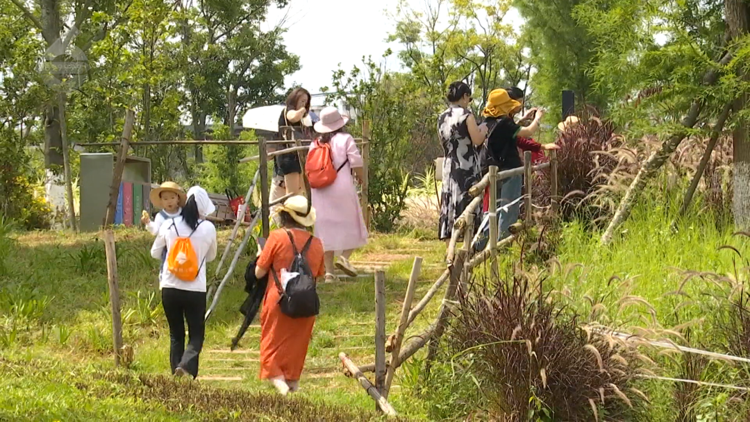 8099999街头巷尾微信