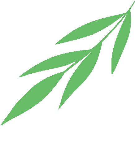 云南省中医医院