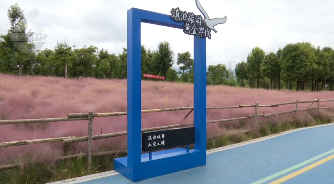 8099999街头巷尾微信