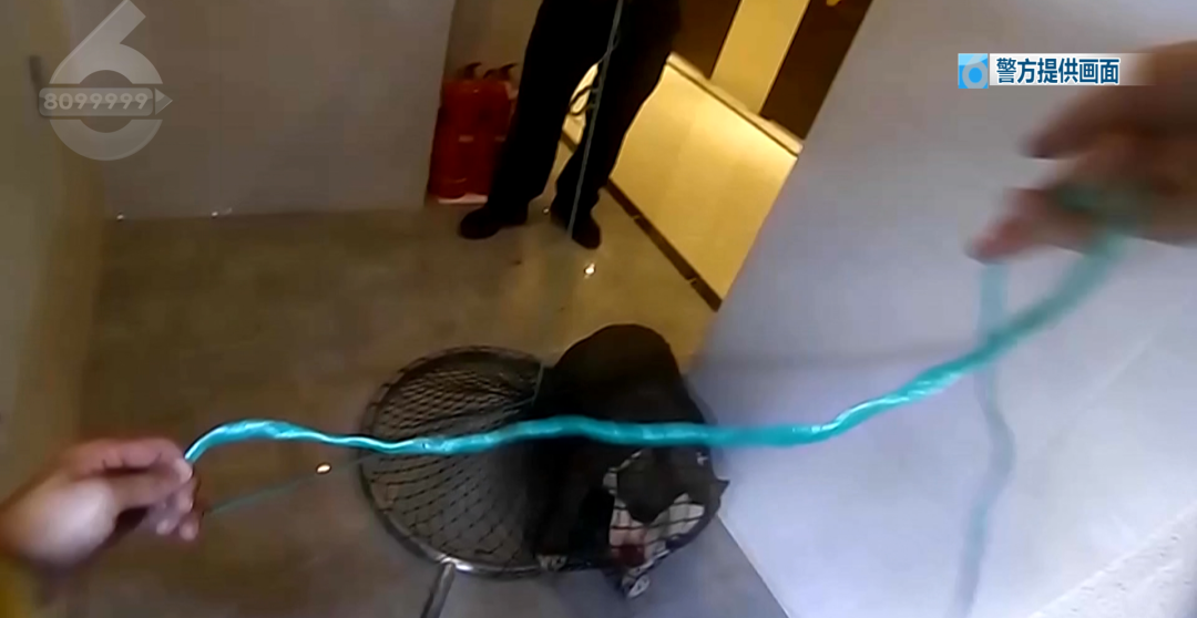 8099999街头巷尾微信