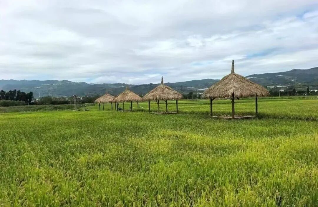 昆明阳宗海风景名胜区