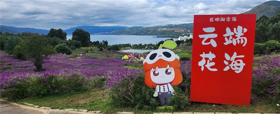 昆明阳宗海风景名胜区