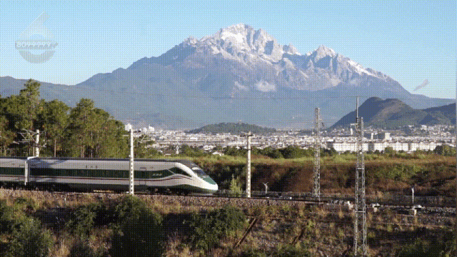 8099999街头巷尾微信