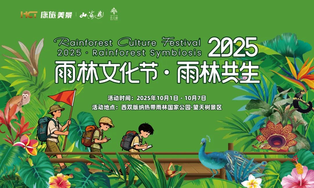 西双版纳望天树景区