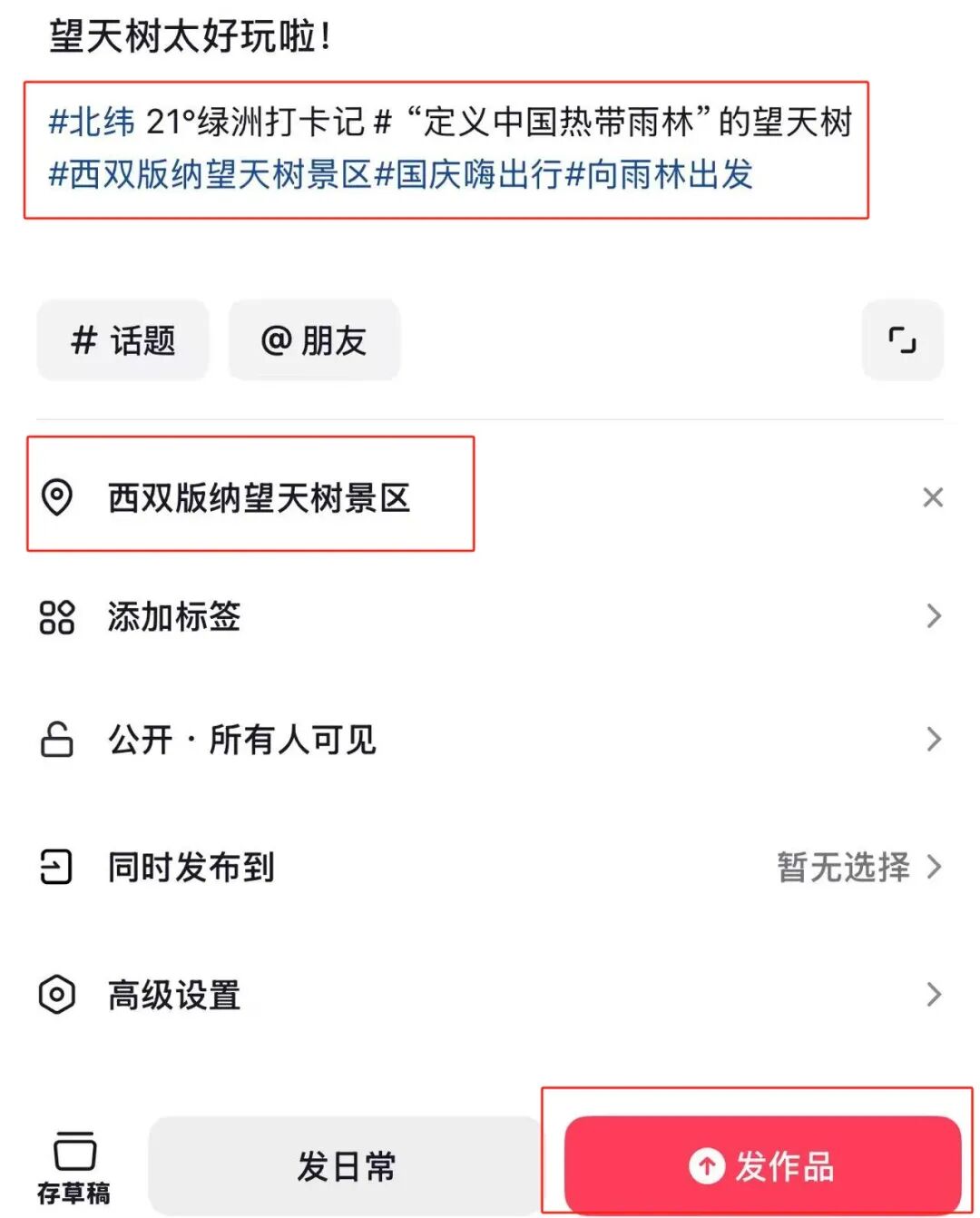 西双版纳望天树景区