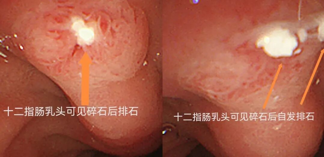 云南大学附属医院