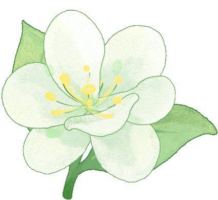 昆明西山教育体育