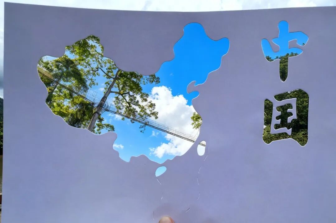 西双版纳望天树景区