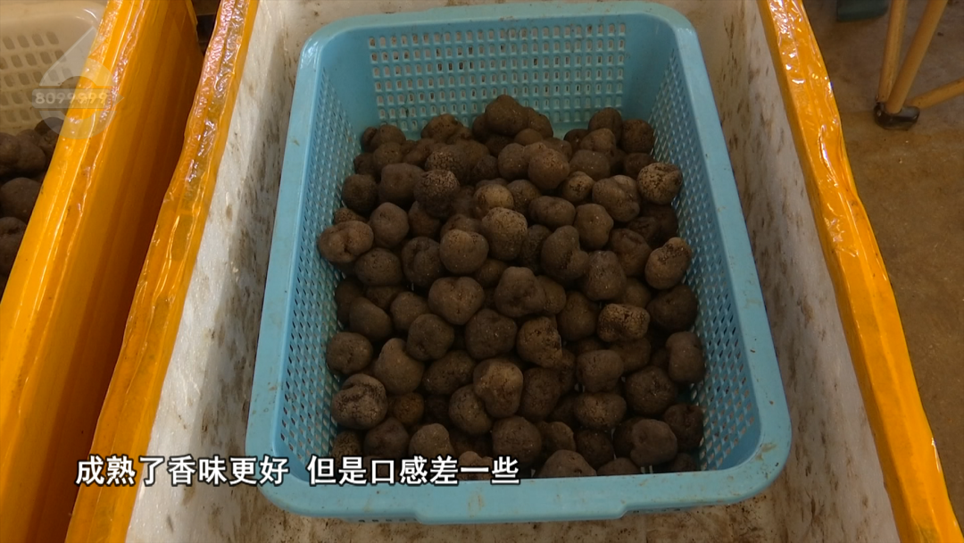 8099999街头巷尾微信