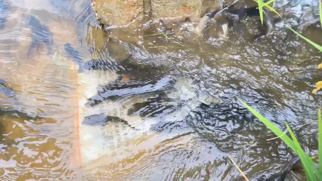 昆明阳宗海风景名胜区