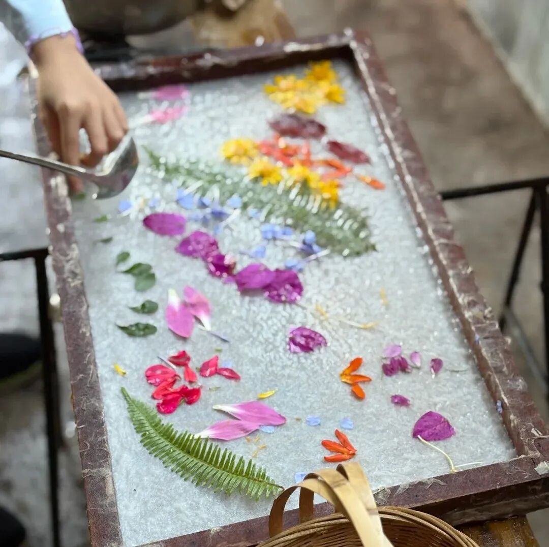 西双版纳望天树景区