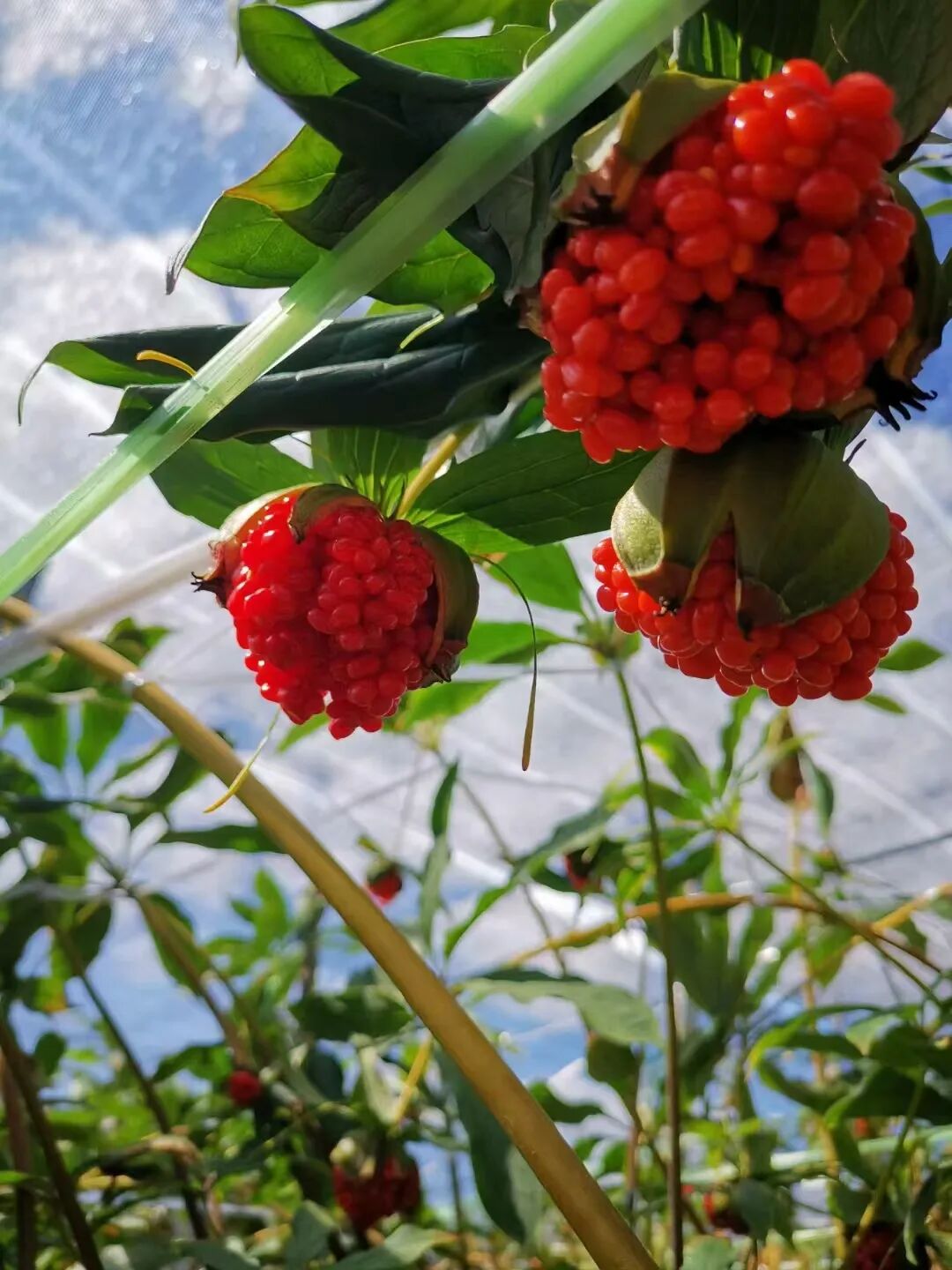 昆明国家高新区发布