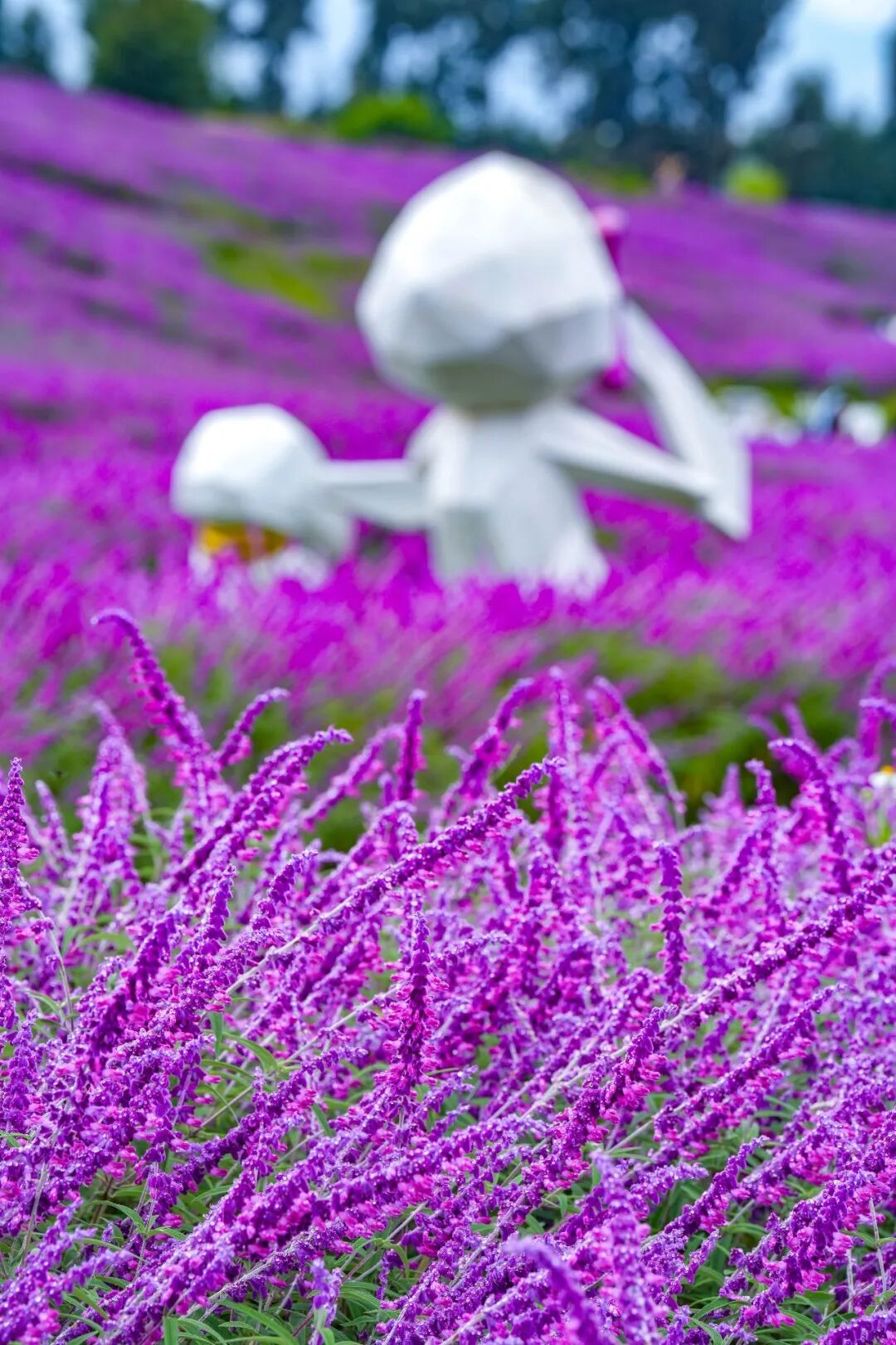 昆明阳宗海风景名胜区
