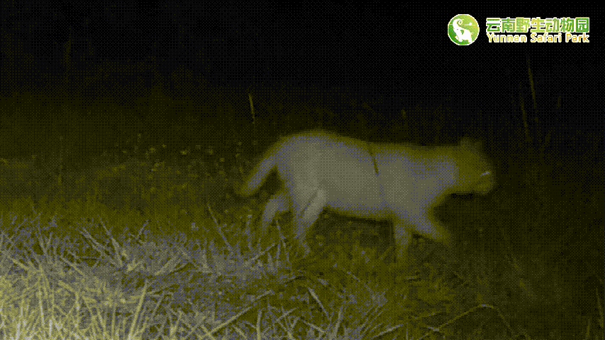 云南野生动物园