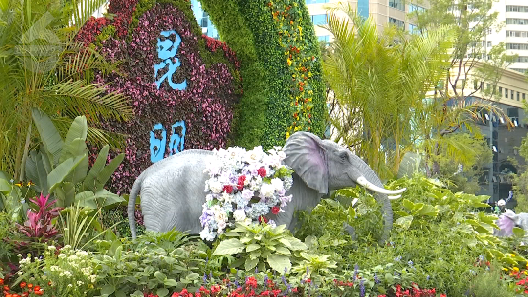 8099999街头巷尾微信