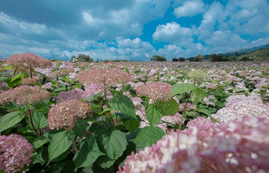 昆明阳宗海风景名胜区