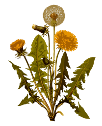 昆明市中医医院