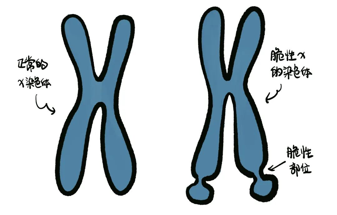云南省第一人民医院