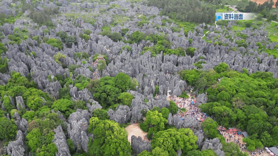 8099999街头巷尾微信