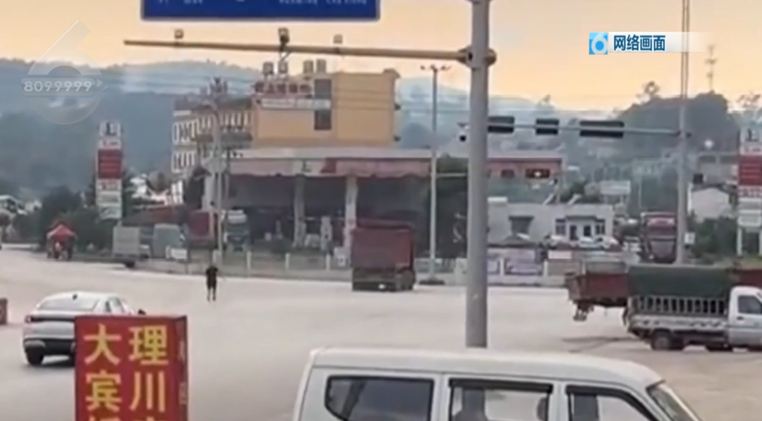 8099999街头巷尾微信