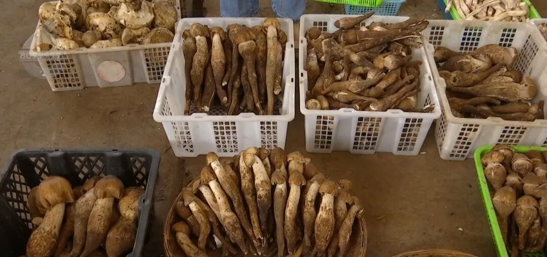 8099999街头巷尾微信