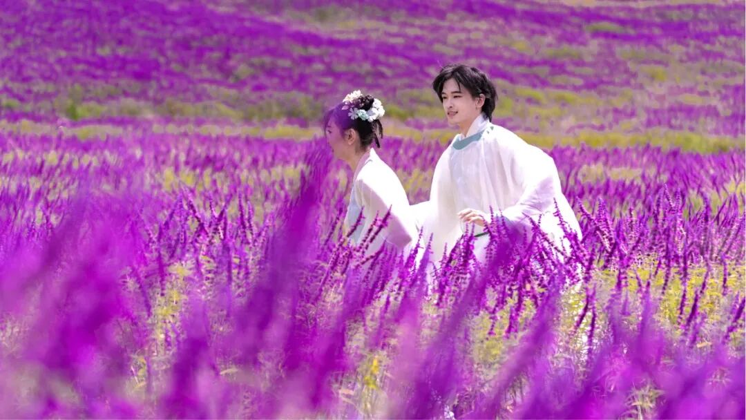 昆明阳宗海风景名胜区