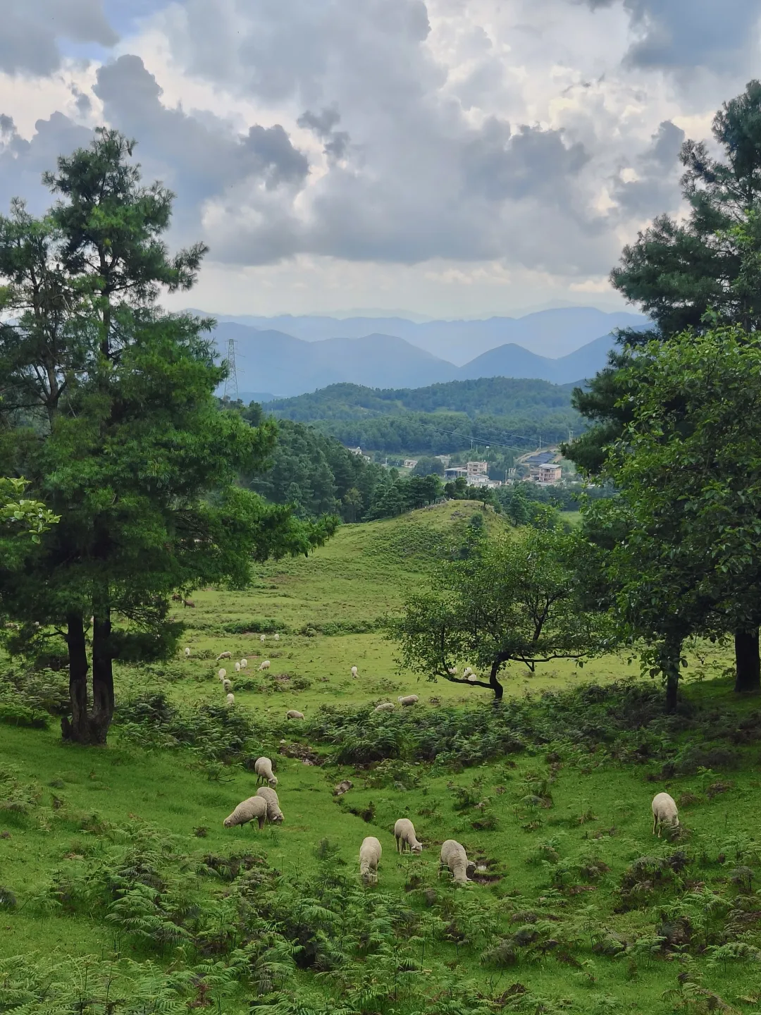 8099999街头巷尾微信