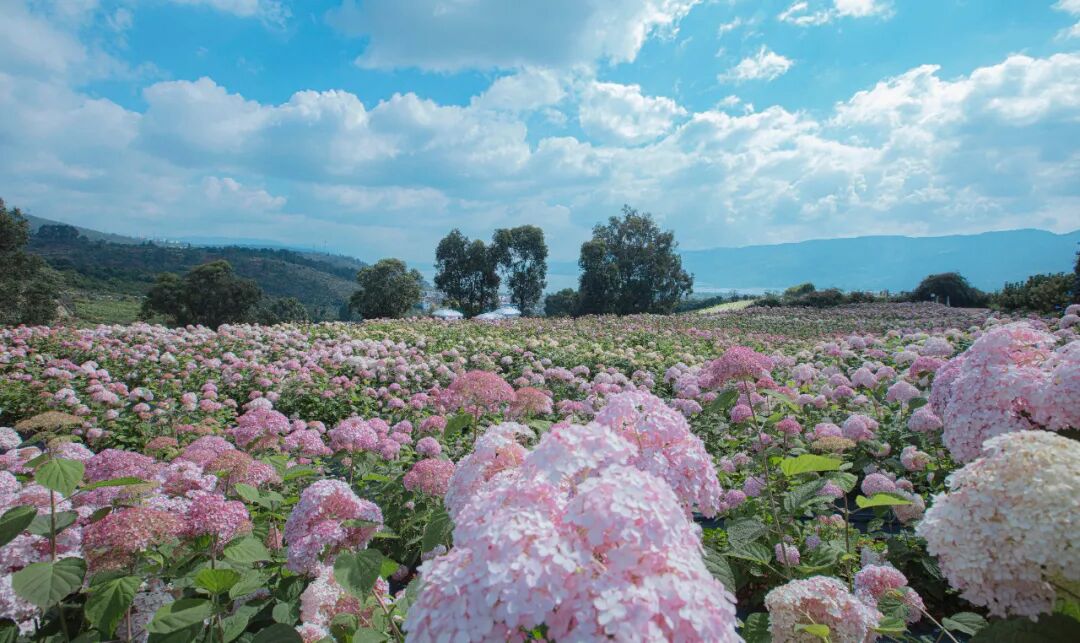 昆明阳宗海风景名胜区