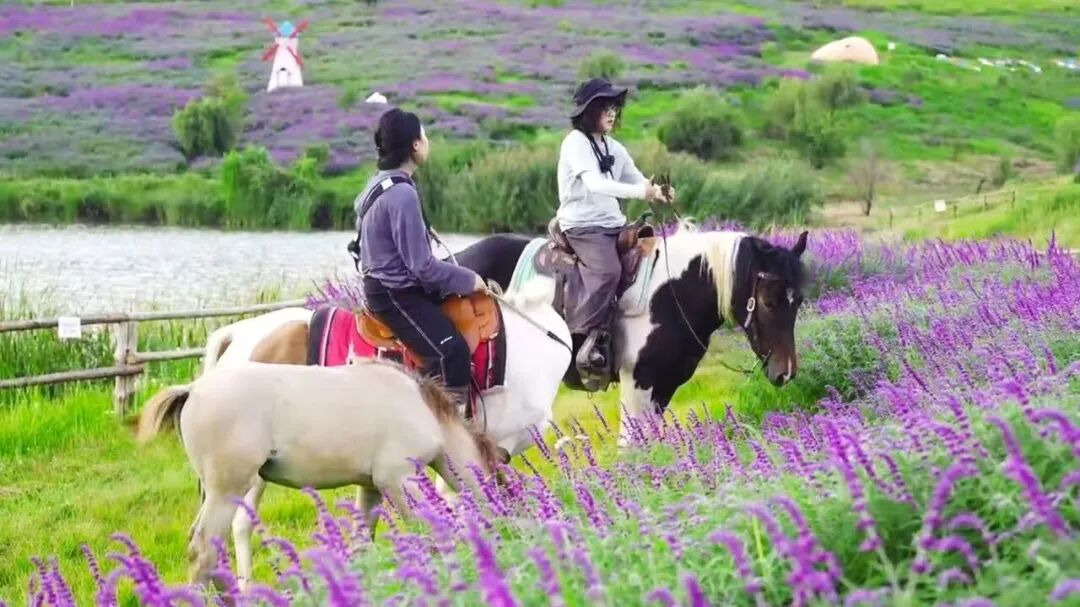 昆明阳宗海风景名胜区