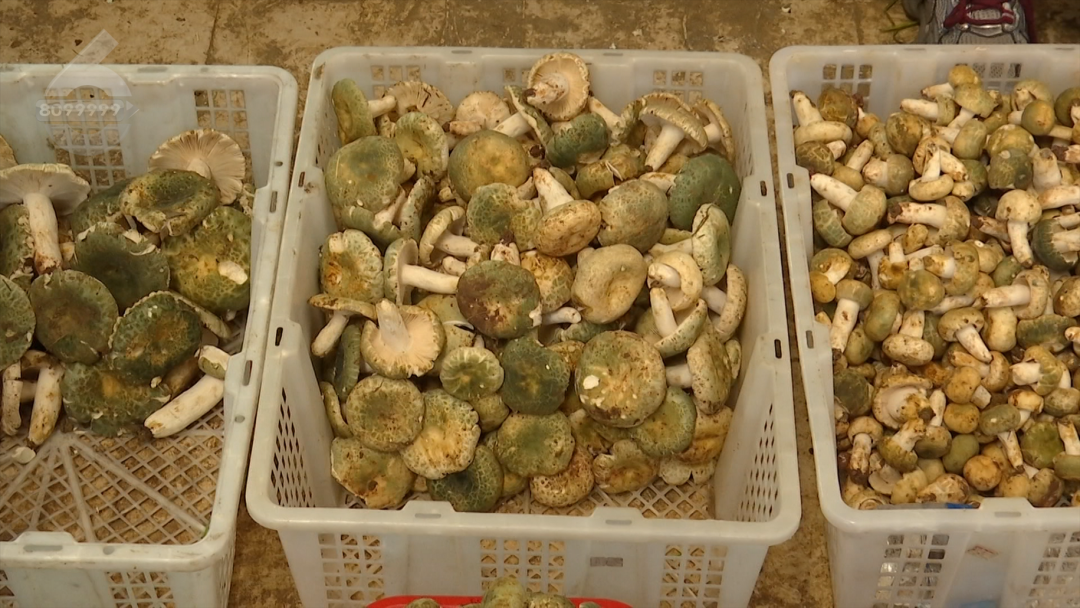 8099999街头巷尾微信