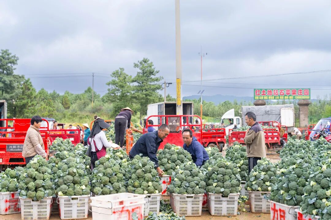 晋宁 诗意的栖居地