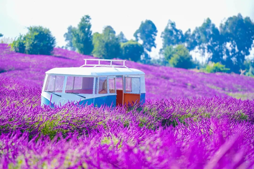 昆明阳宗海风景名胜区