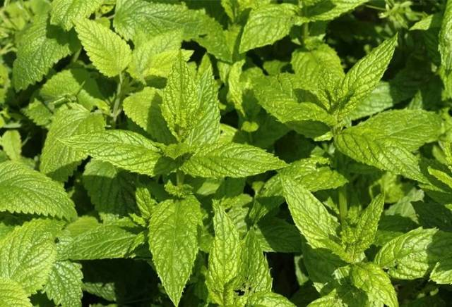 昆明市中医医院