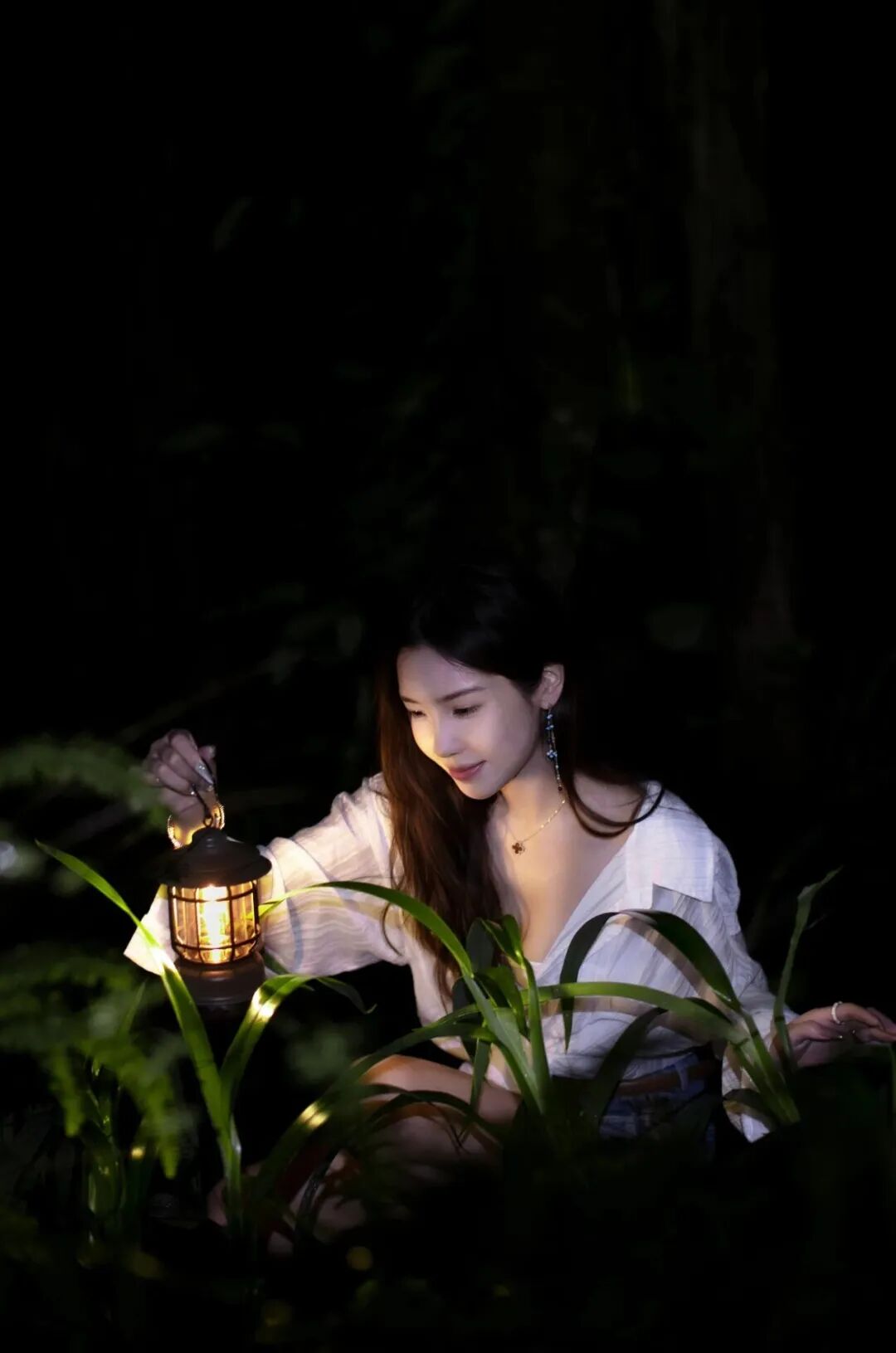 西双版纳望天树景区