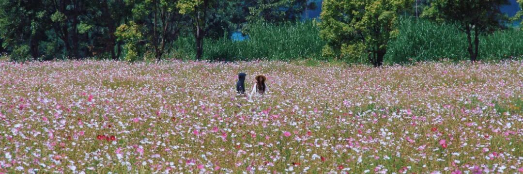 昆明阳宗海风景名胜区