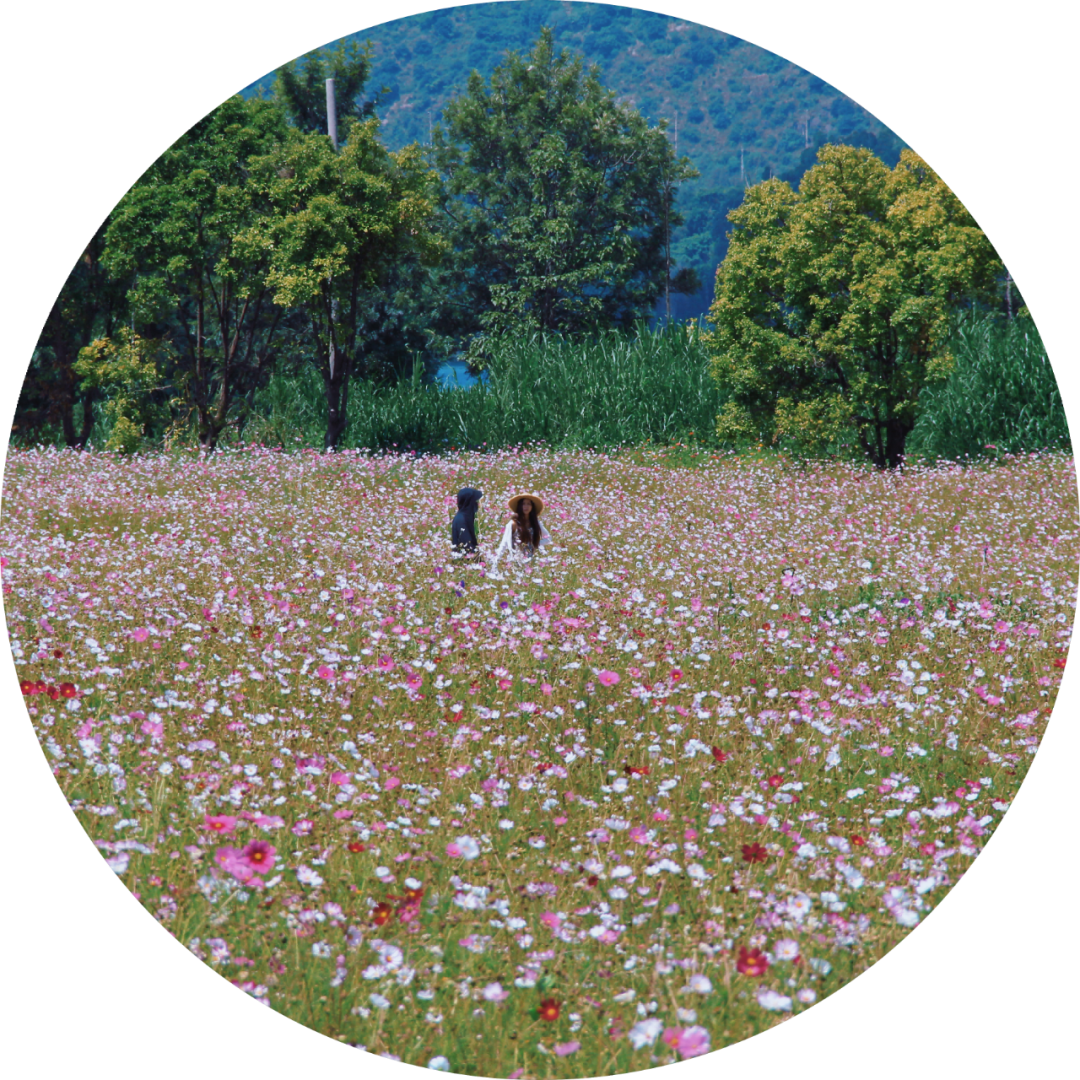 昆明阳宗海风景名胜区